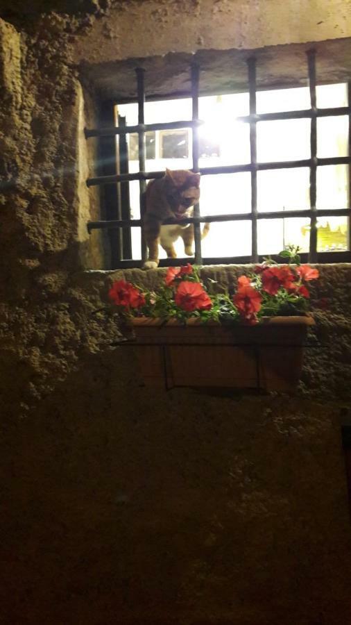 L'Arco Di Sersa Riccò del Golfo di Spezia Eksteriør billede