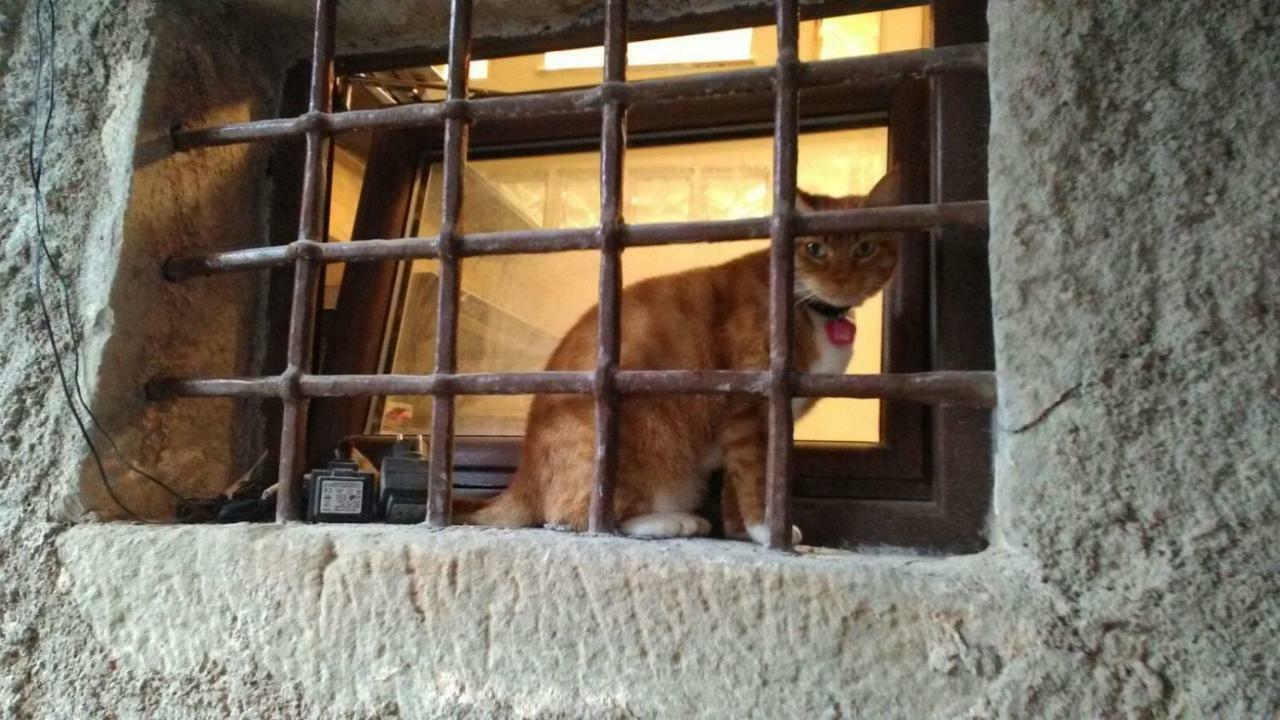 L'Arco Di Sersa Riccò del Golfo di Spezia Eksteriør billede